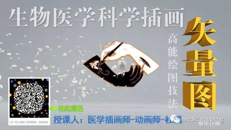 医学插画插图,医学插画sci