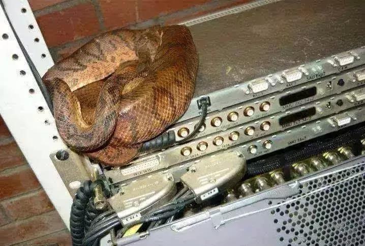 网优的日常,网优科普知识