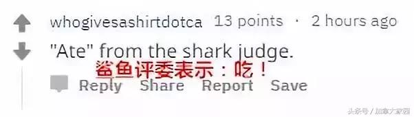 一男子跳进鲨鱼池,美国一男子跳进水族馆鱼缸