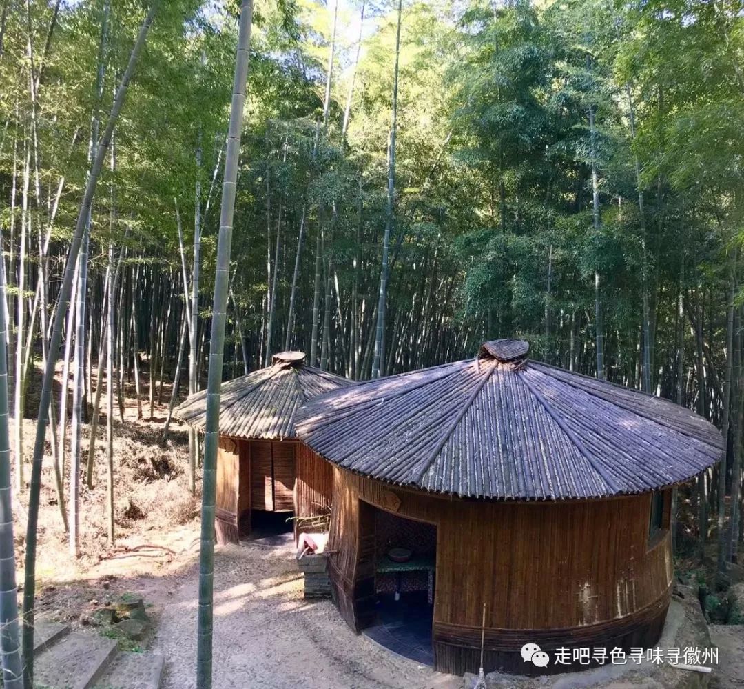 竹海扬波，溪山飞瀑｜心花开放在幽篁里