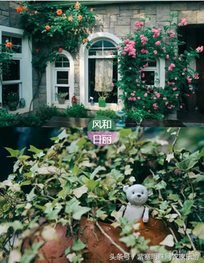 冬天临安特色游玩民宿,蓟州紫塞明珠农家院