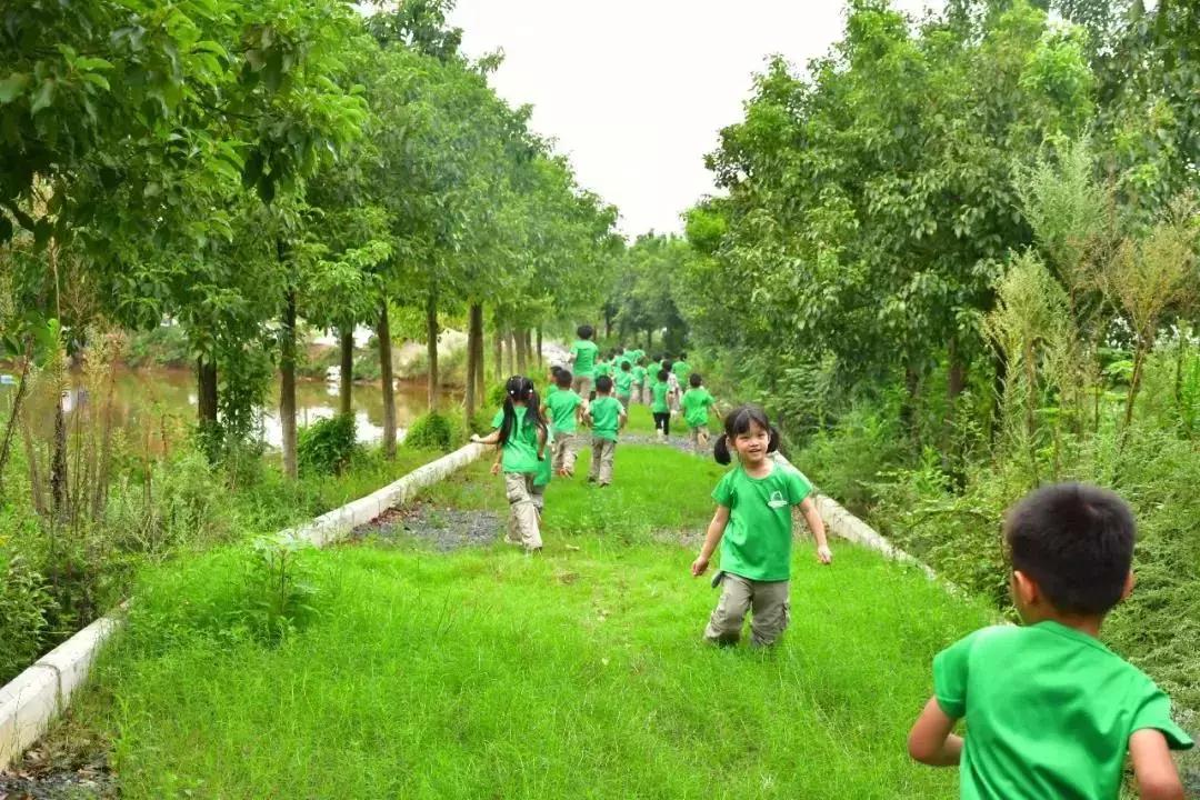 全新内容，来自北欧的工作坊完整诠释纯正的自然教育