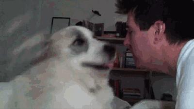 被蚂蚁咬了要去打狂犬疫苗吗,被红火蚁咬了6天可以打疫苗吗