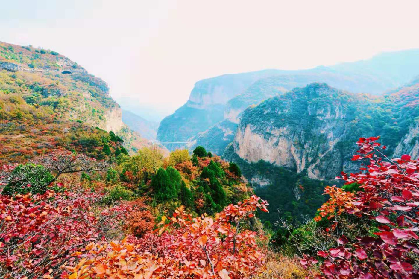 邢台云梦山“红叶节”开启!上万亩黄栌、五角枫勾勒太行山独特美景