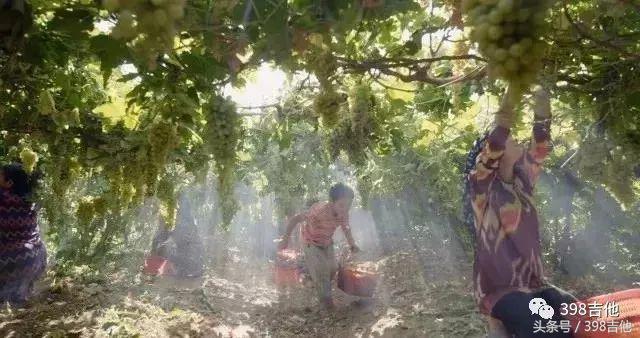 吉他技巧弗拉门戈,新疆吉他大师克尔曼弗拉门戈