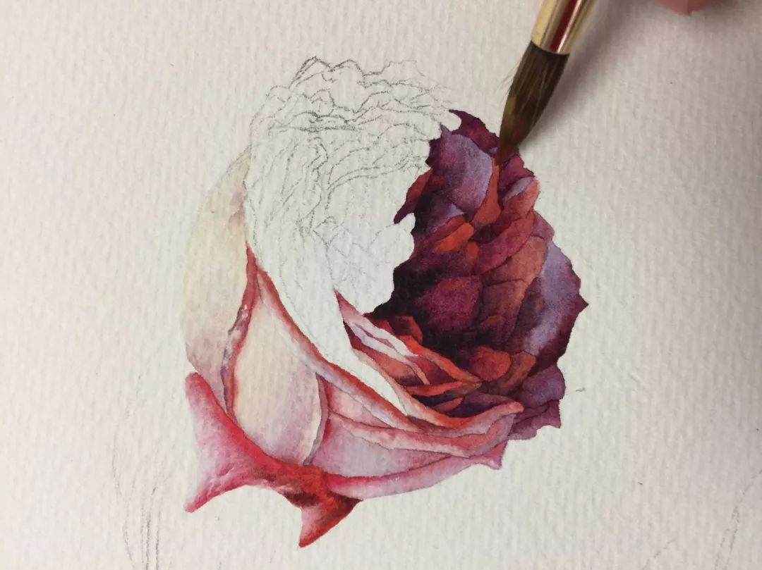 情人节用丙烯画画,情人节教我们画玫瑰