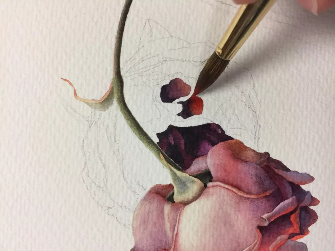 情人节用丙烯画画,情人节教我们画玫瑰