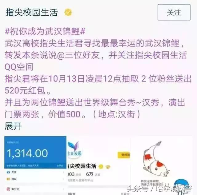 中国锦鲤的套路有哪些呢,中国锦鲤为什么火了