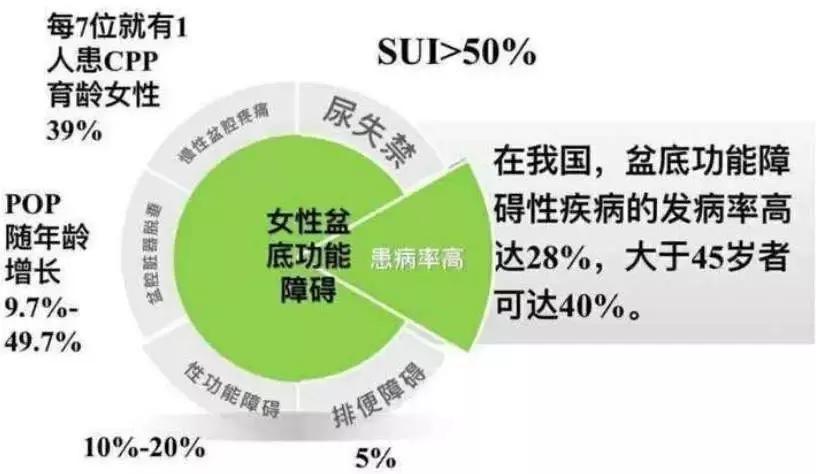 你真的了解盆底肌吗,关于盆底肌您了解多少