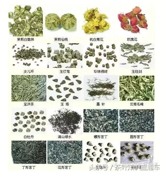 中国茶分类红茶绿茶花草茶养生茶,中国六大类茶排名