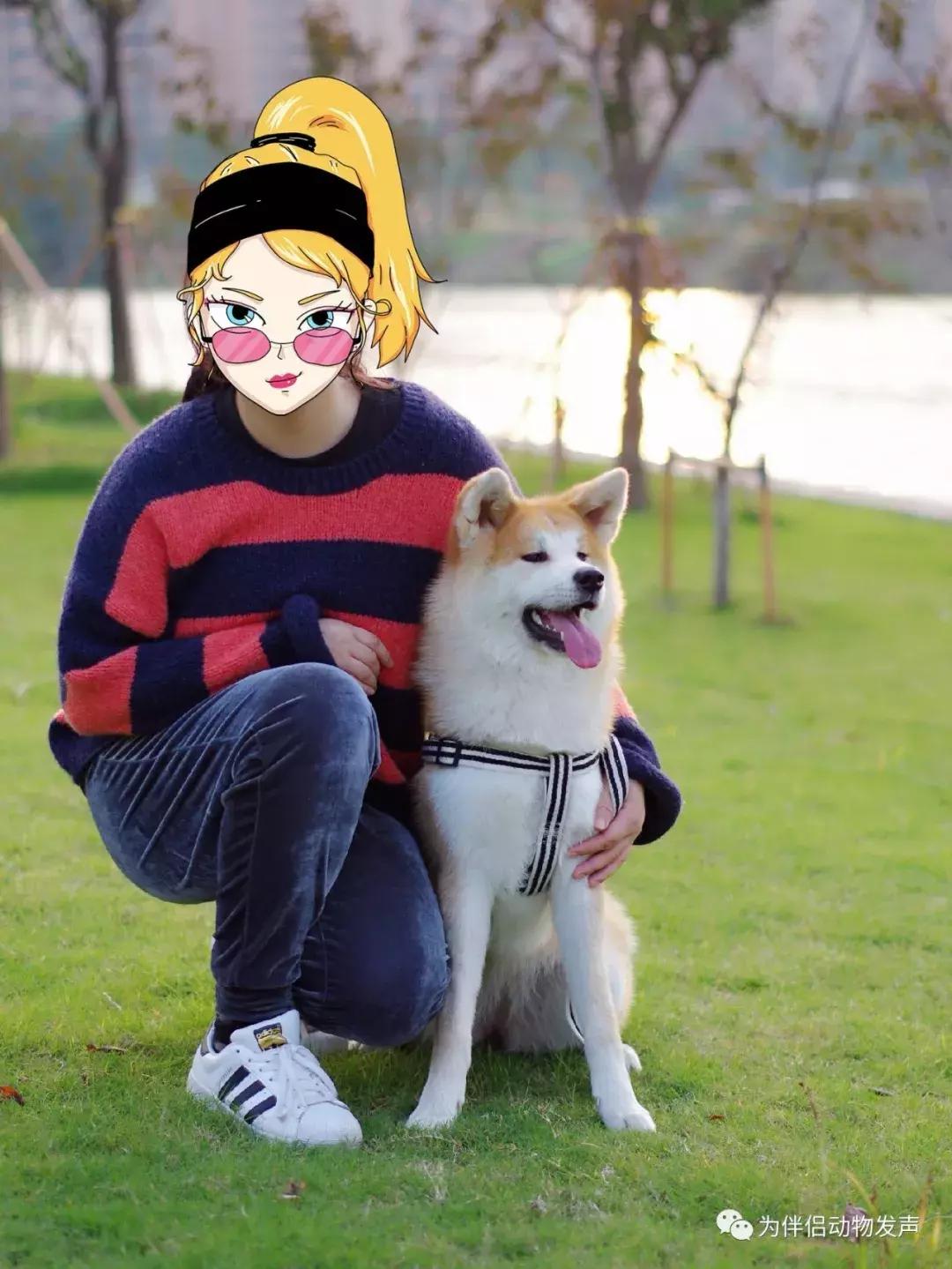 怀孕的时候你还会坚持养宠物吗,孕妇几个月就可以养宠物狗狗了