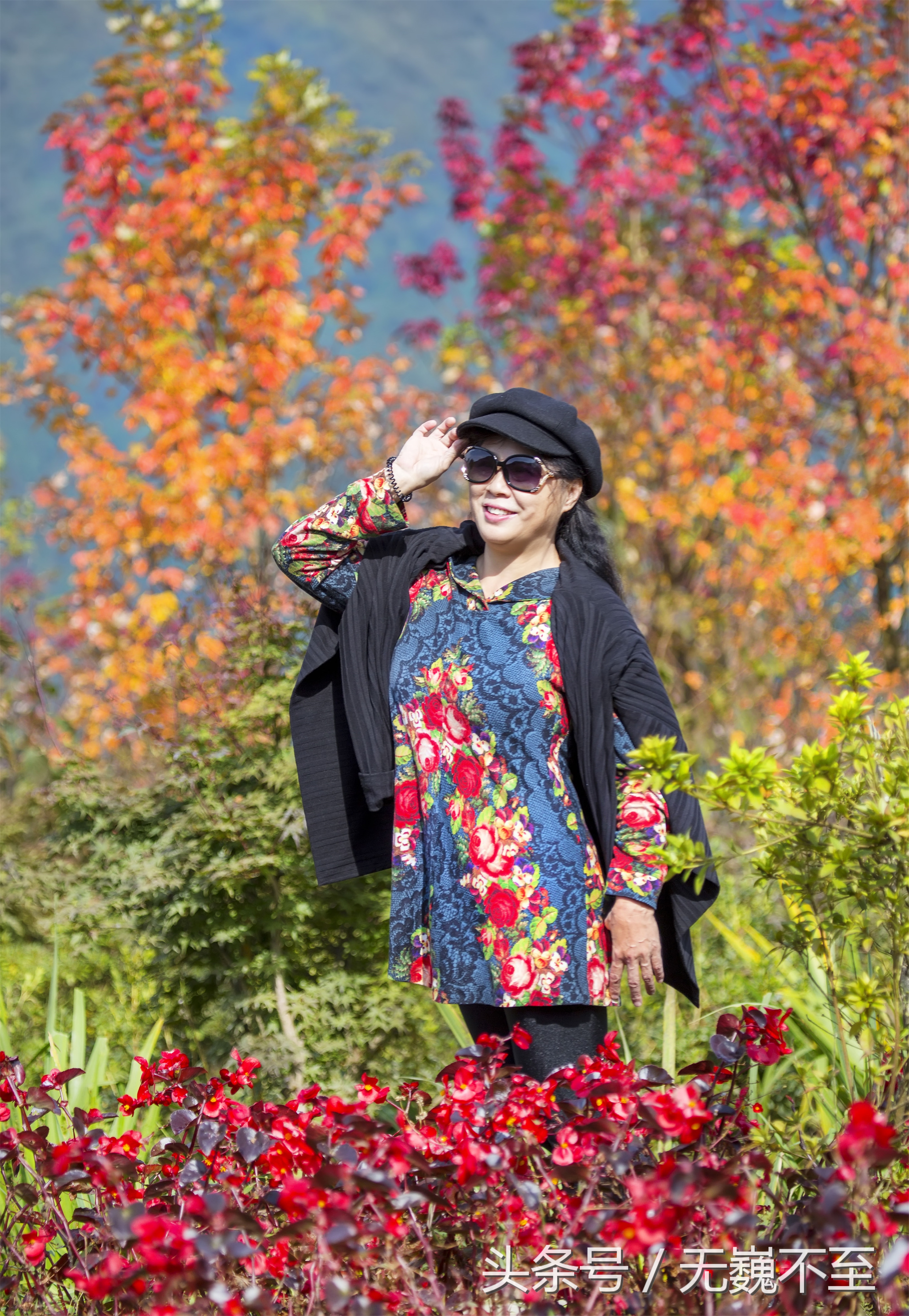 谁言不解“枫”情？金秋观红叶独爱川西红枫岭