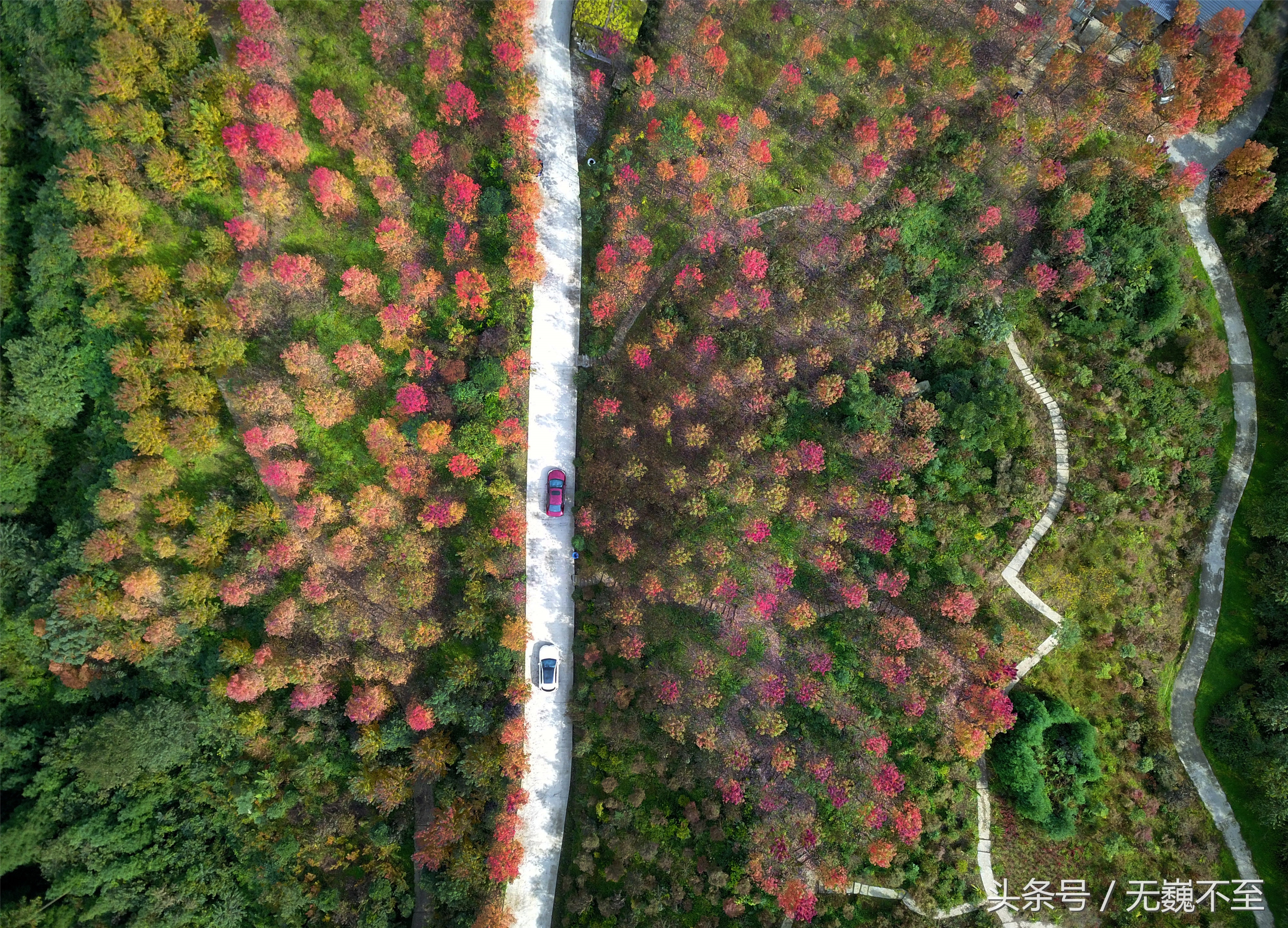 川西红枫岭赏红叶美景,成都红枫岭