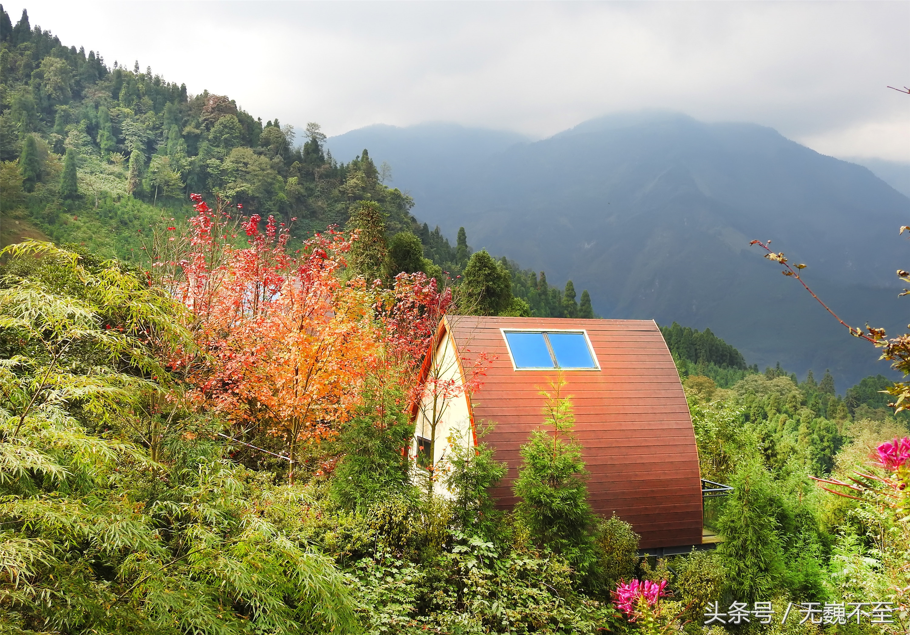 川西红枫岭赏红叶美景,成都红枫岭