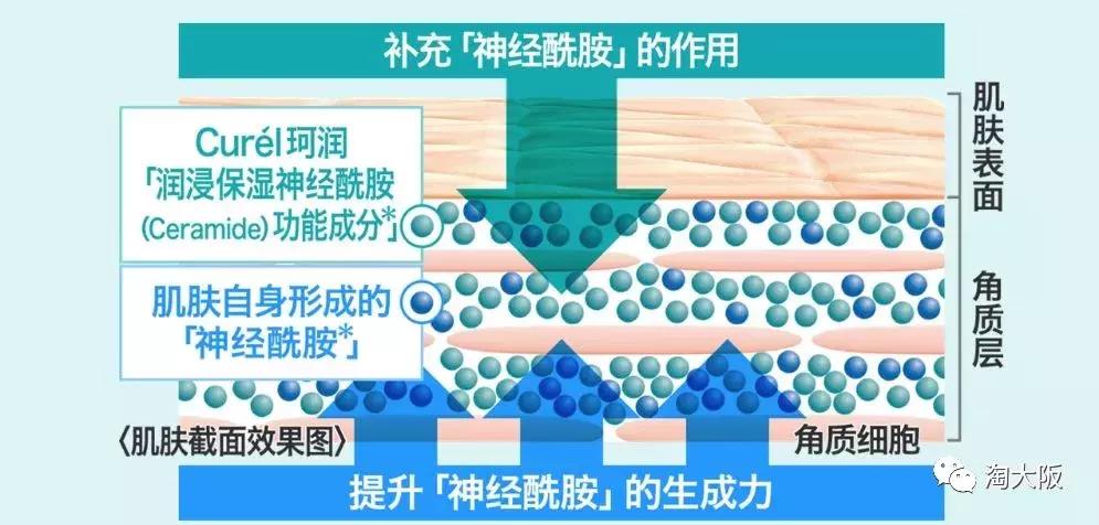 珂润面霜保湿和滋润哪个好用,珂润面霜哪款比较滋润好