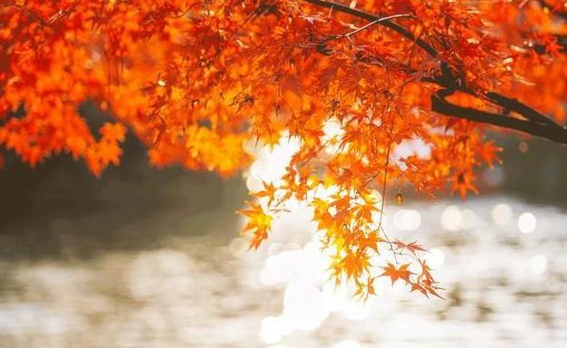 沪苏湖高铁上海到横店,沪苏湖高铁上海到安庆