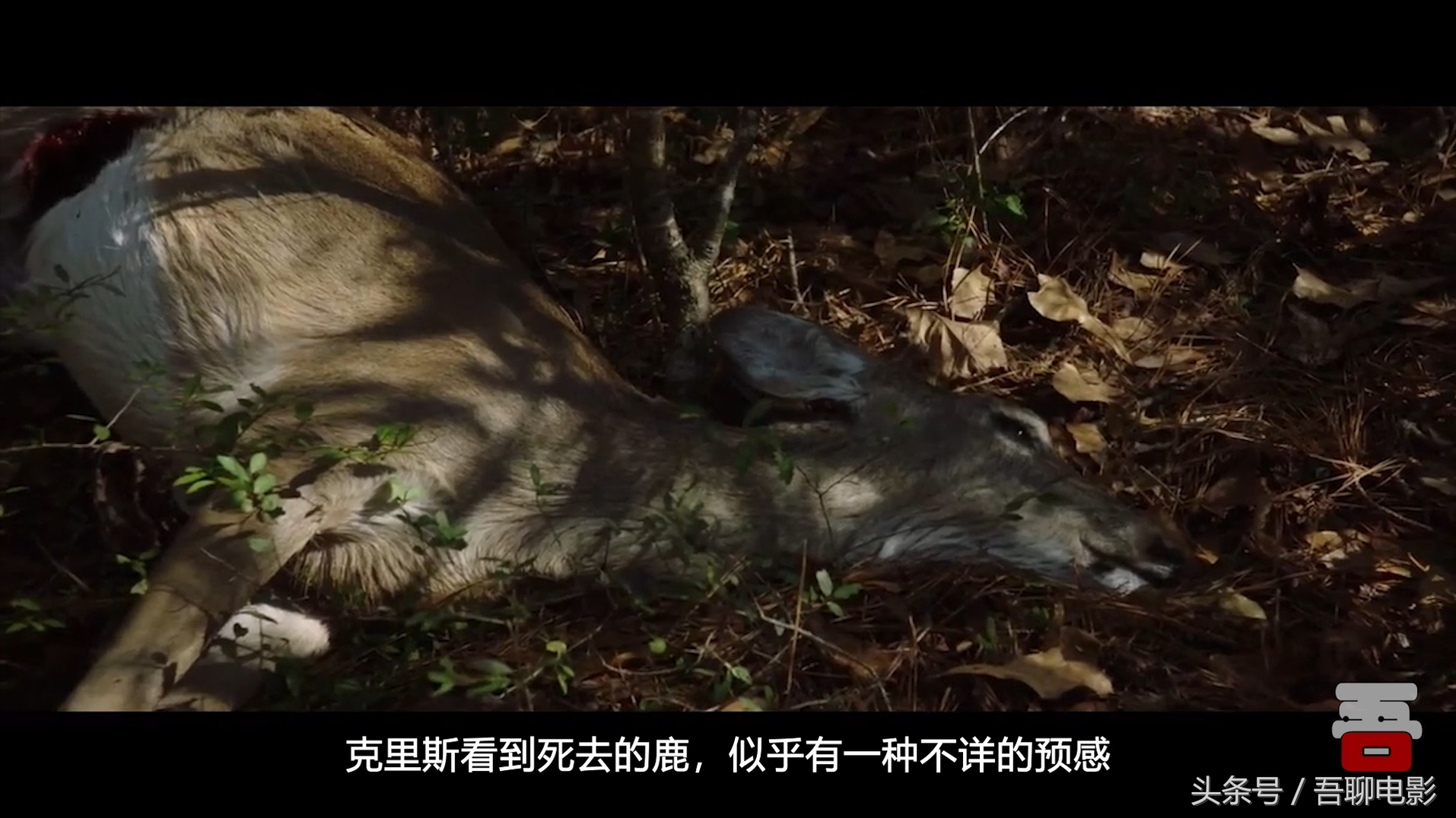 黑人小伙第一次见丈母娘，直接被催眠，差点回不来