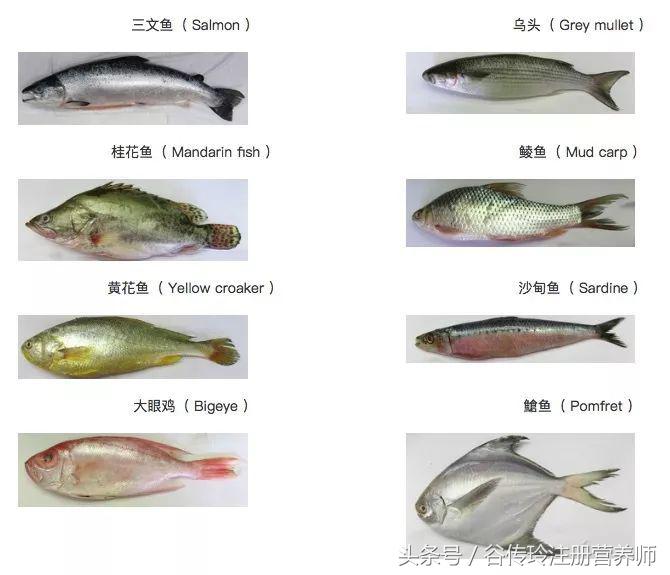 孕期高血糖饮食禁忌及食谱 (孕期第二月注意什么饮食禁忌)