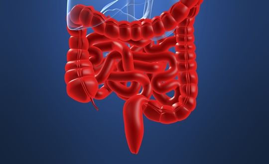 人体各器官过了保质期该怎么办,人体各个器官的保质期有多久