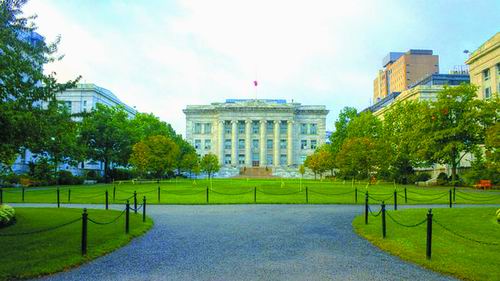 哈佛医学院干细胞事件,干细胞治疗心脏病骗局