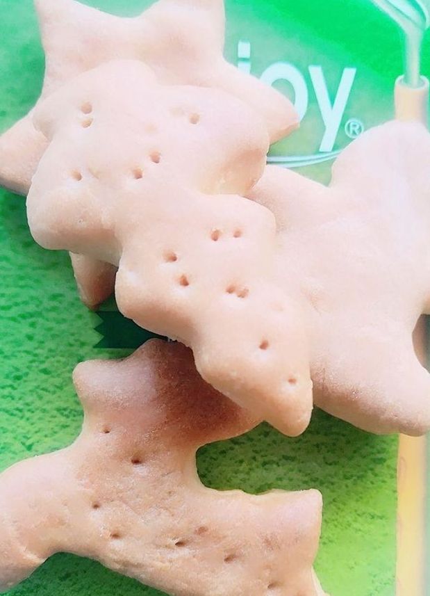 又好吃又酥脆的饼干,简单易学的无糖小饼干教程