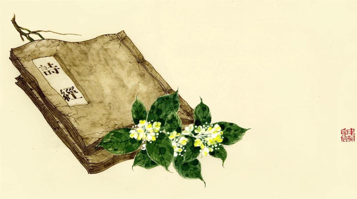 诗经郑风山有扶苏朗诵,诗经里的爱情故事视频