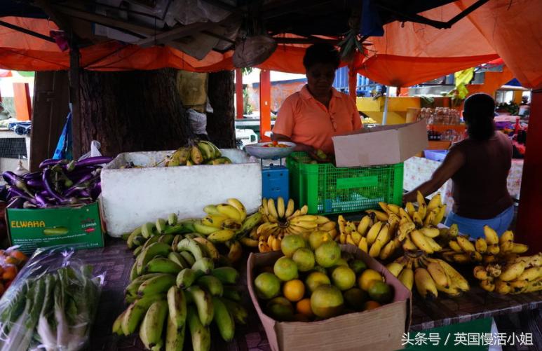 塞舌尔自由行十大必去景点,塞舌尔旅游攻略国内旅行