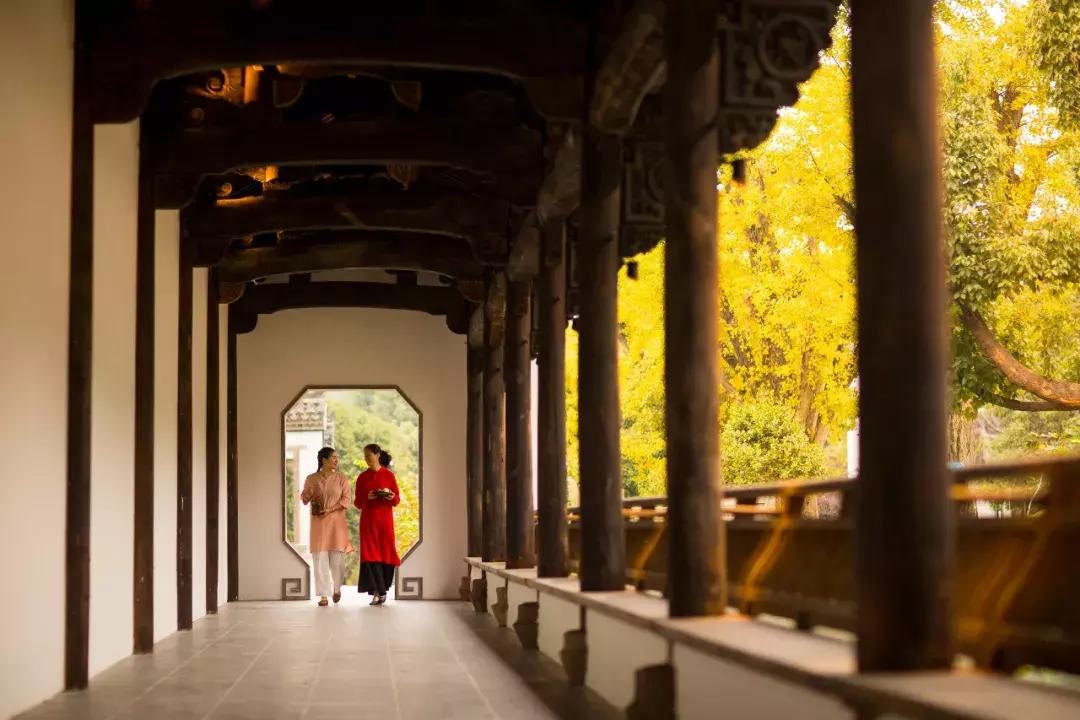 藏于山水间的温泉酒店推荐,一家来了就不想走的温泉酒店