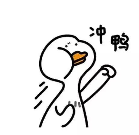 双十一攻略！求放过我的钱包呀！