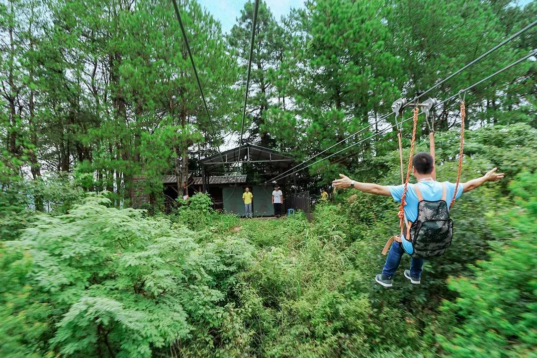 这片媲美京都的红叶之森只藏15栋梦幻树屋，杭州1.5h直达！