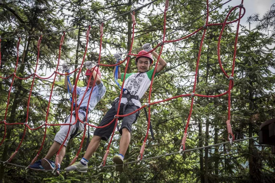 这片媲美京都的红叶之森只藏15栋梦幻树屋，杭州1.5h直达！