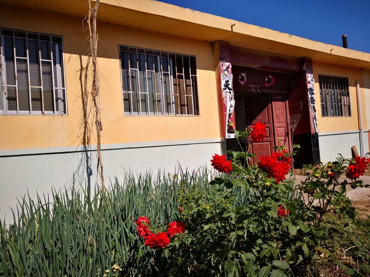 一碗饺子原唱,一碗饺子完整版