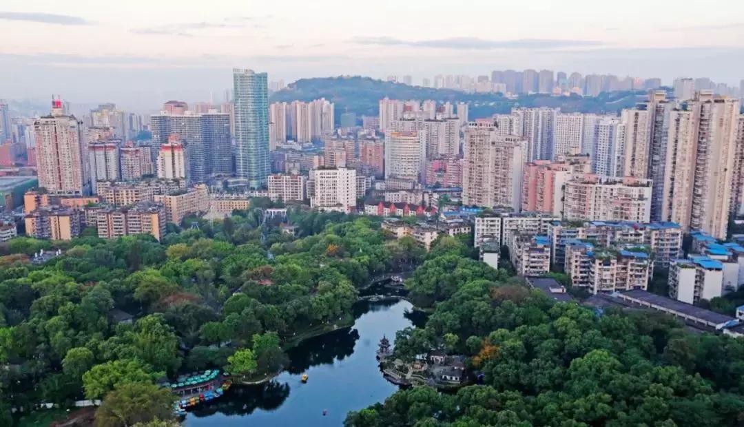 沙坪坝今日关注,沙坪坝人