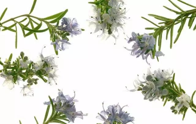 推荐一款卸眼睛很好的卸妆水,这才是真正的平价大碗的卸妆水