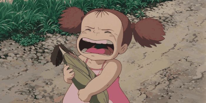 吉卜力龙猫,吉卜力工作室标志龙猫