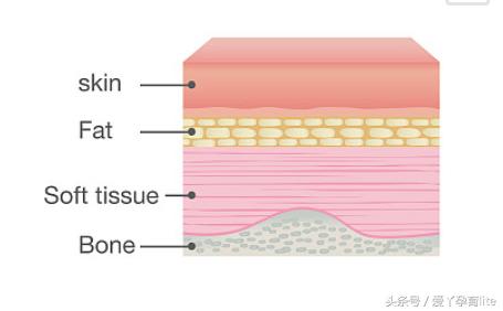 怀孕十月宝宝发育图表,十月怀胎宝宝生长过程视频