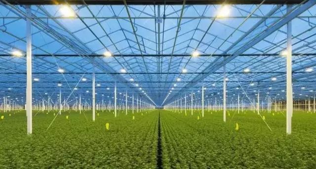 荷兰农业模式 (如何做好荷兰农业)