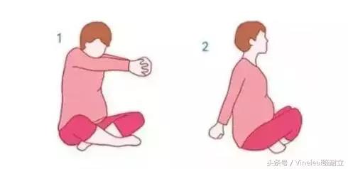 适合孕妈妈做的运动动作,孕期适合哪些上肢运动