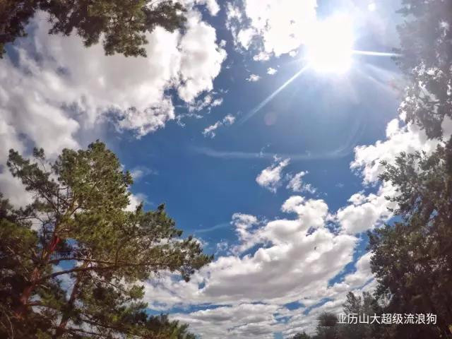 一座“透彻之城”海拉尔