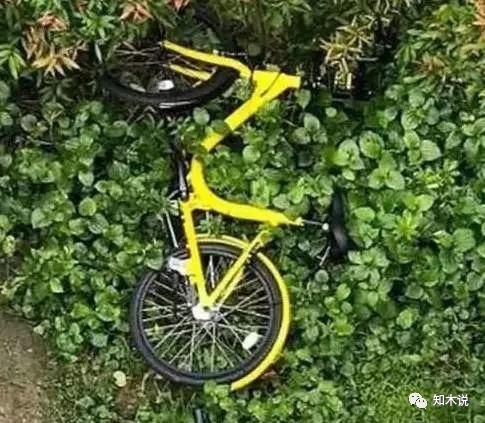 新加坡的罚款之城,新加坡被称为罚款之城