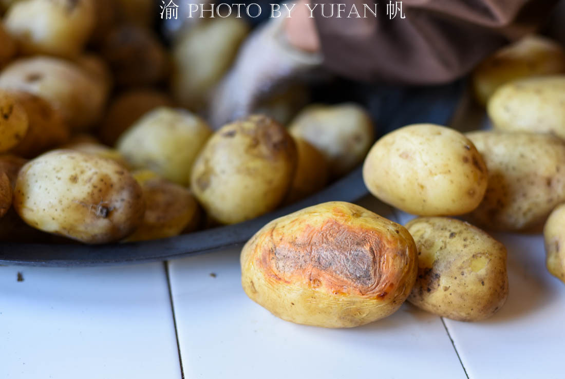 青海人管土豆叫什么,青海人把土豆叫什么