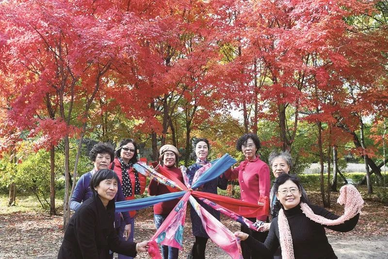 长春这座城市怎么样,长春这是怎么了