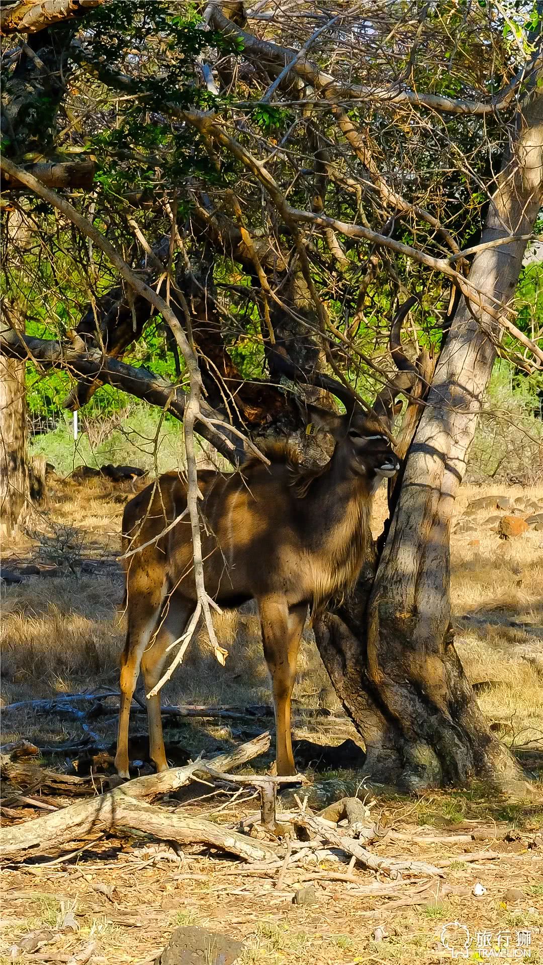 你喜欢什么样的海水,你喜欢什么样的海