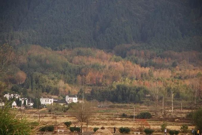 秋天的安徽,这才是安徽秋天该有的样子