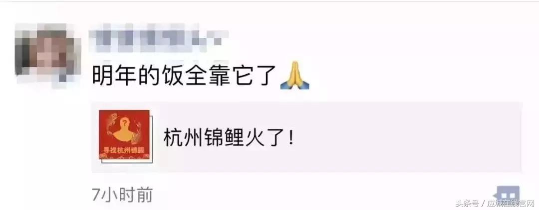 锦鲤都有哪些活动类型呢,锦鲤活动在哪里