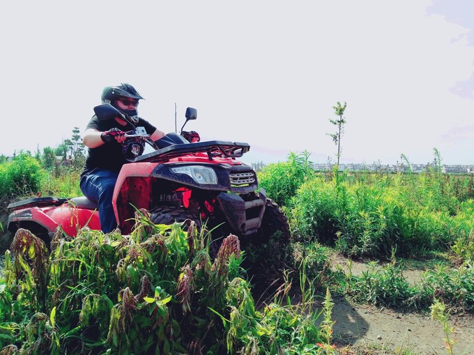 苍山的正确打开方式——做一日清闲山里人