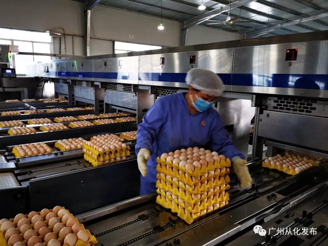 助力战疫复工复产,复工战疫两不误担当有为谱新篇