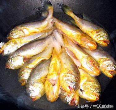 宁波生吃的海鲜有哪些,这6种海鲜好吃又有营养