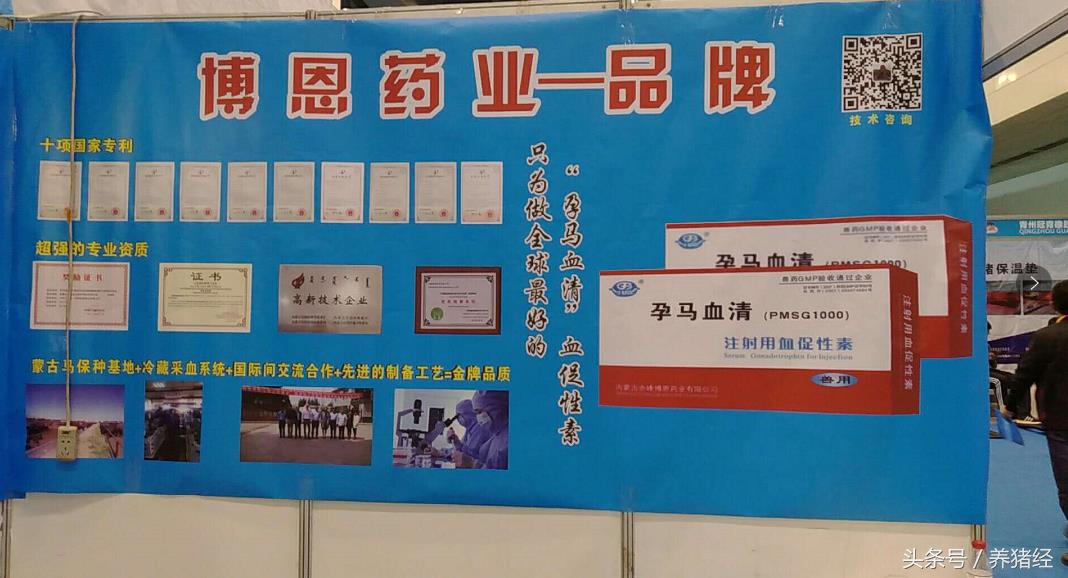 2024李曼养猪大会主要内容,李曼养猪大会和畜博会有什么区别