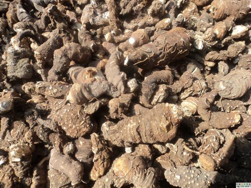 德昌祥药材,德昌祥药材种植公司简介